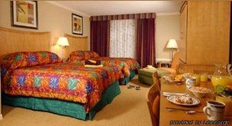 Hotel Eliseo Rome