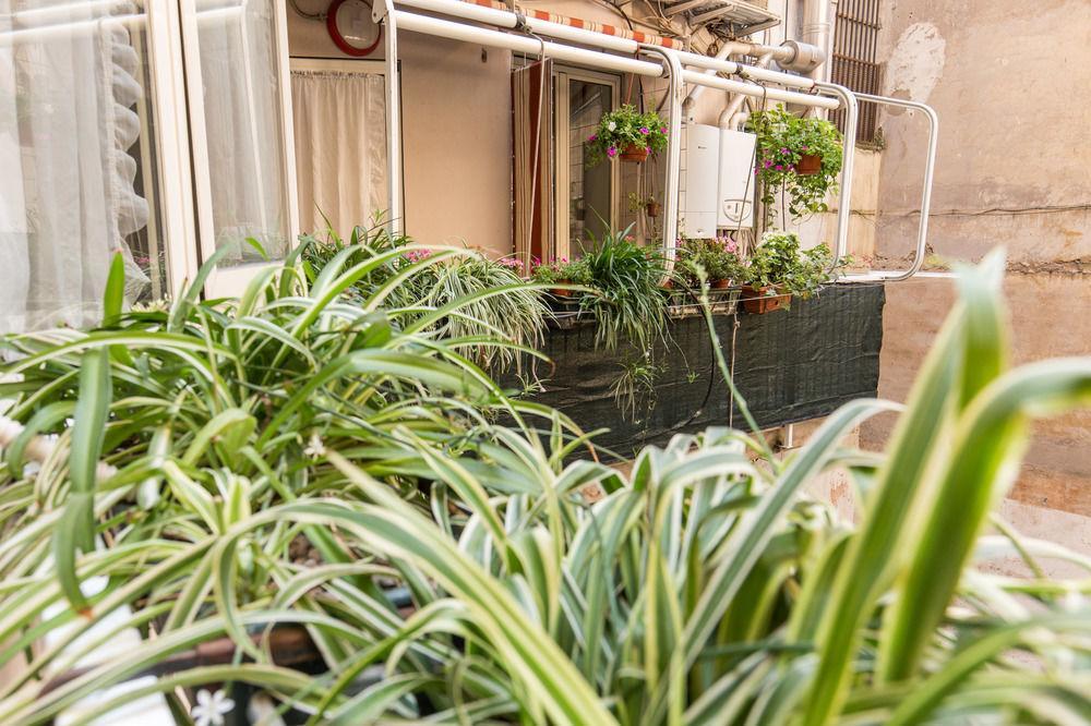Giuliana Hotel Rome