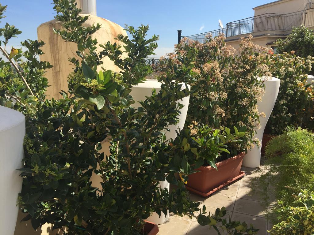 Terrazza Fiorita Roma
