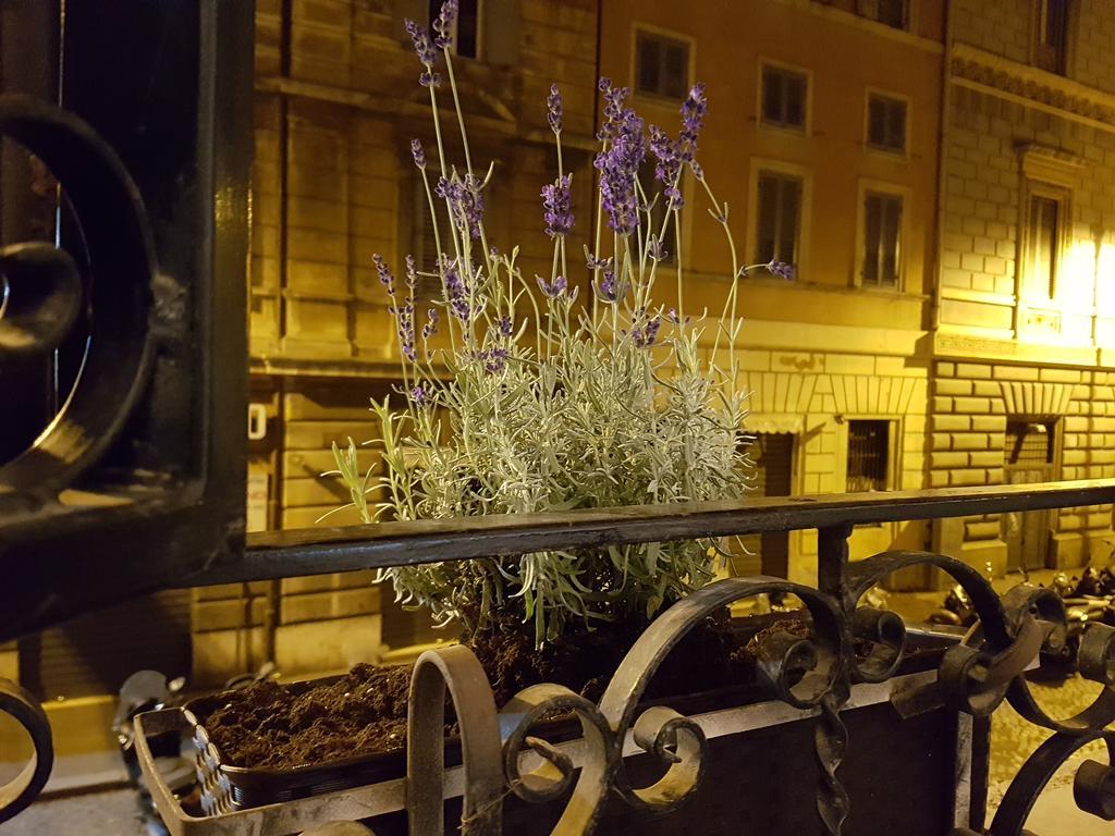 Loft Pantheon Rome