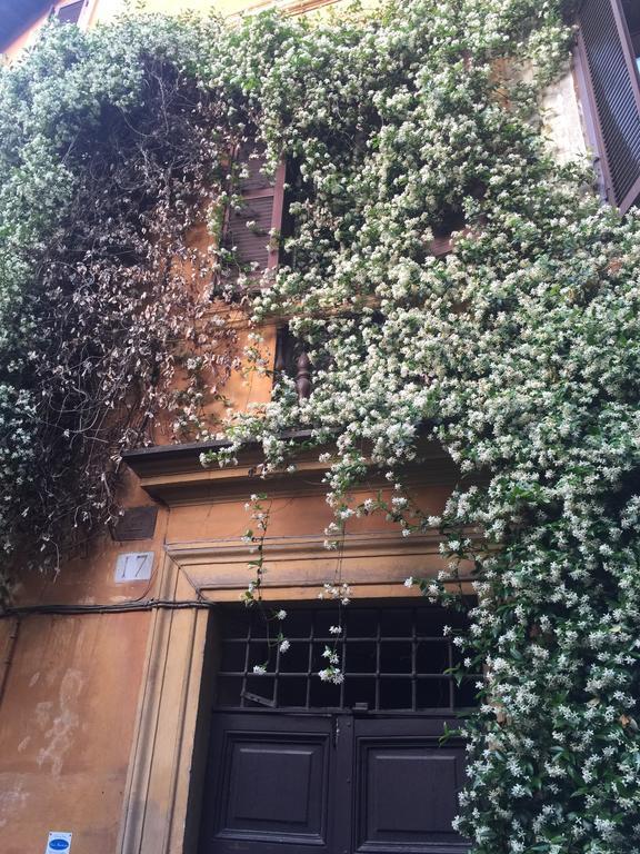 Mgpgroup Navona 2 * Roma