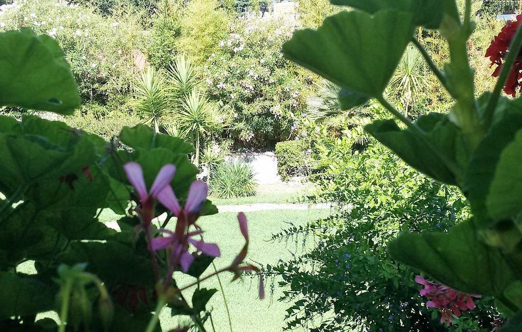 Bed & Breakfast Casa Per Ferie Cardinal G. Guarino