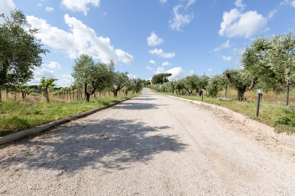 Alloggio per agriturismo Grappoli Di Sole