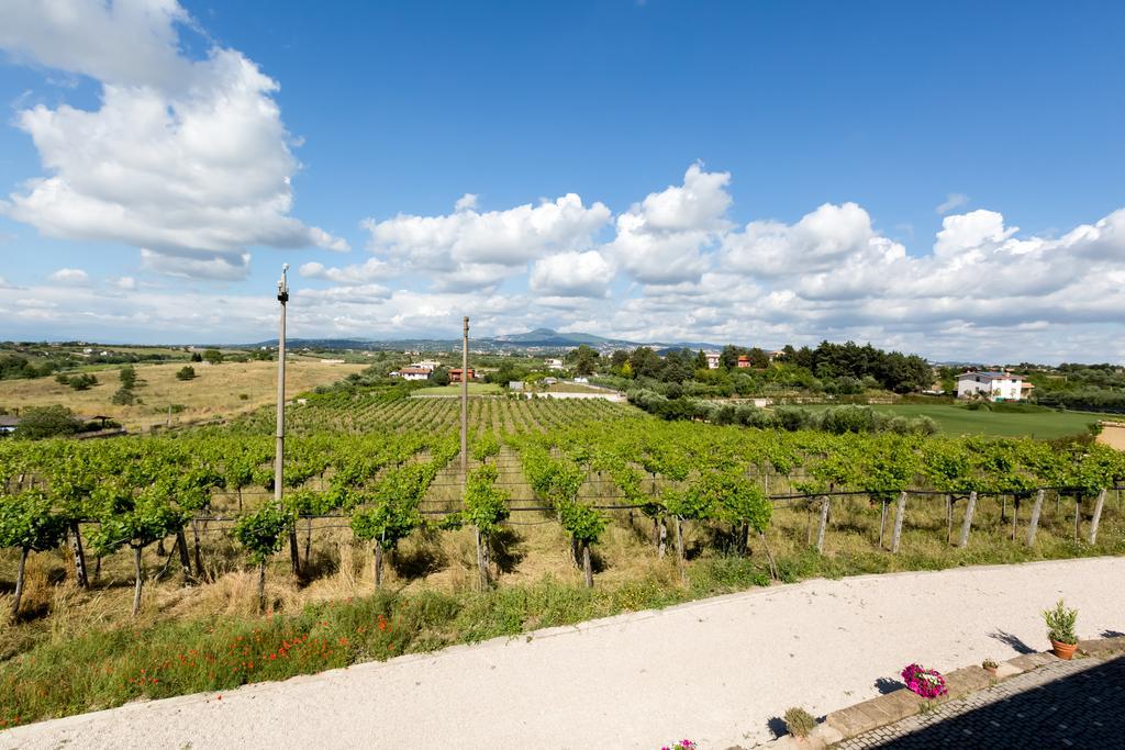 Alloggio per agriturismo Grappoli Di Sole *