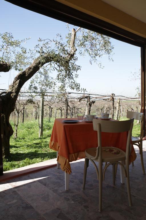 Alloggio per agriturismo Grappoli Di Sole *