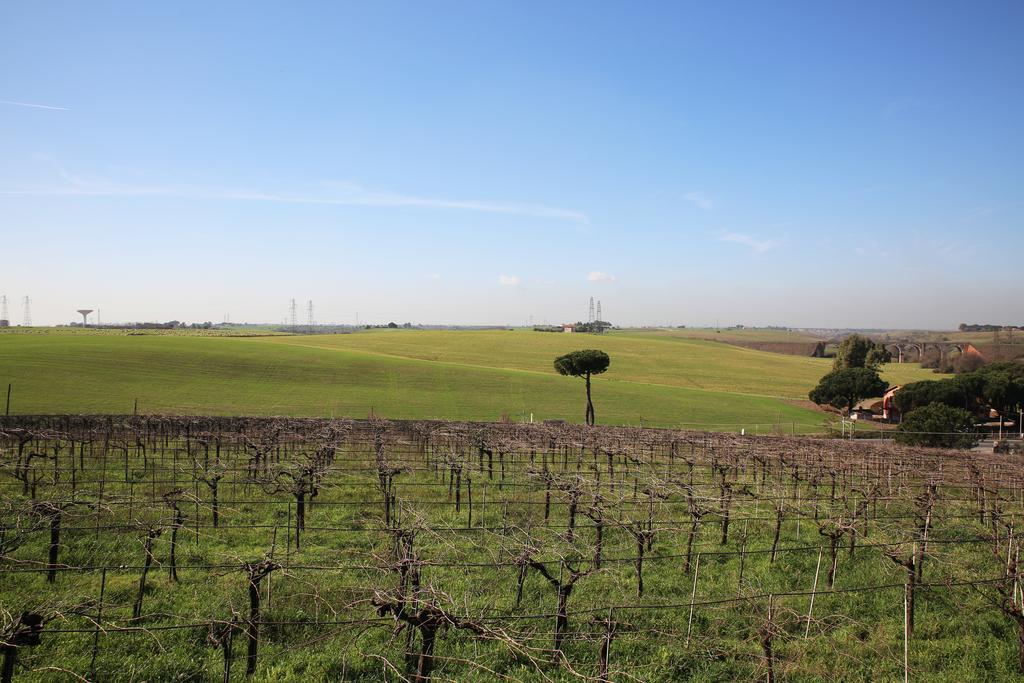 Alloggio per agriturismo Grappoli Di Sole *