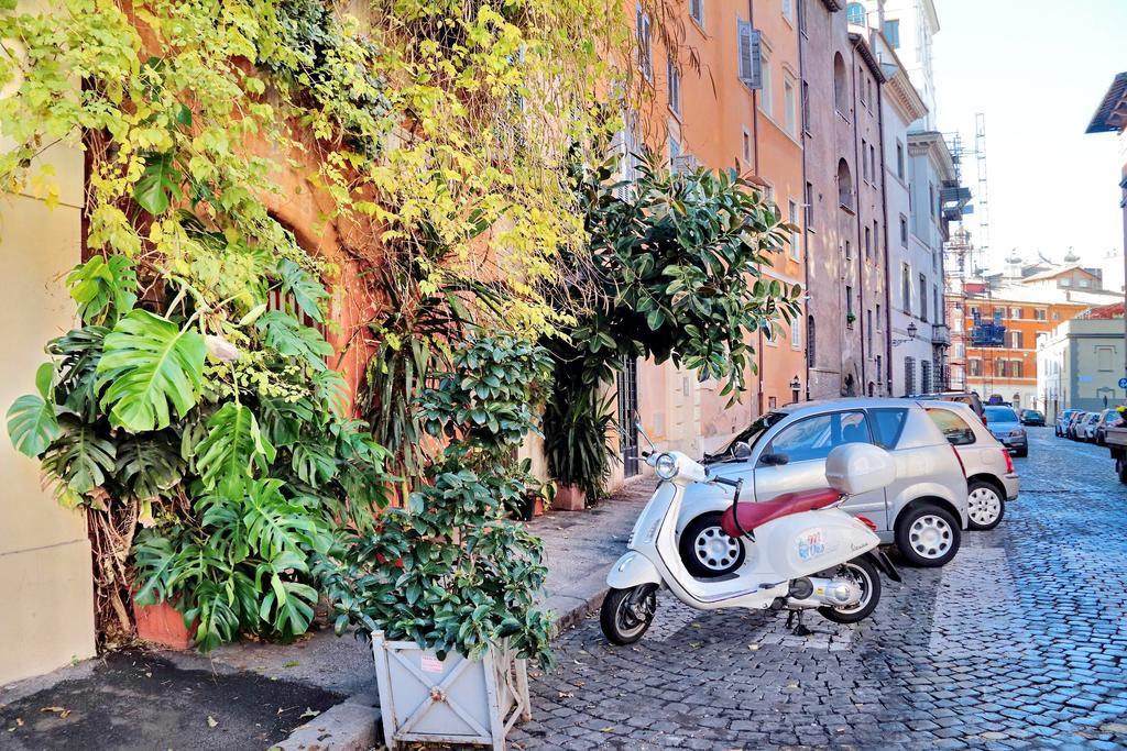 Navona *