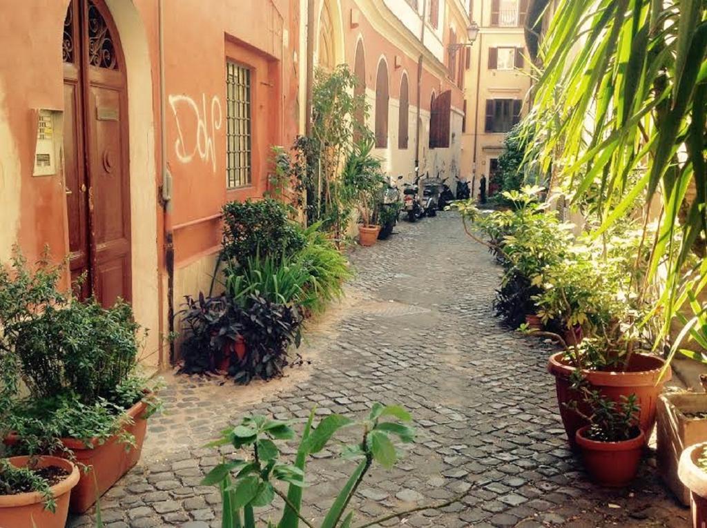 Colosseum By Serena Apartamento