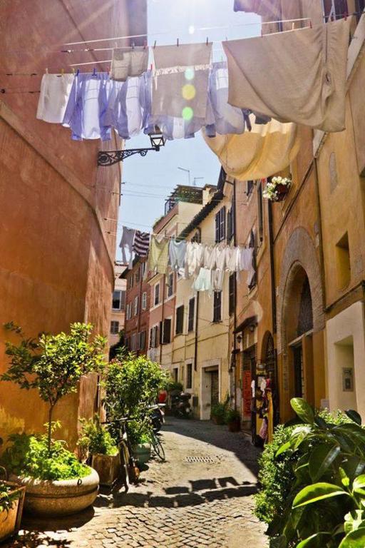 Cedro 28 Roma