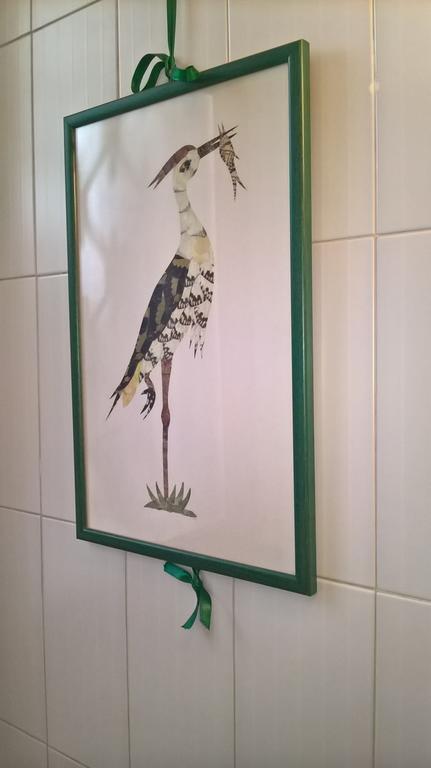 Il Giardino Di Zorro