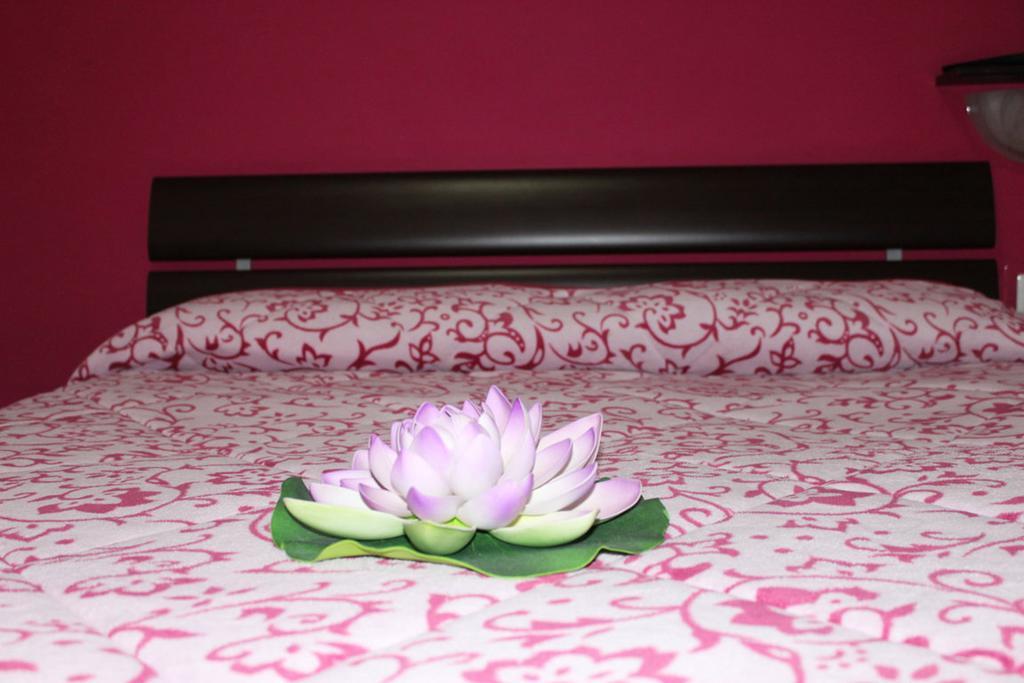 Couette-café Aracoeli Rome