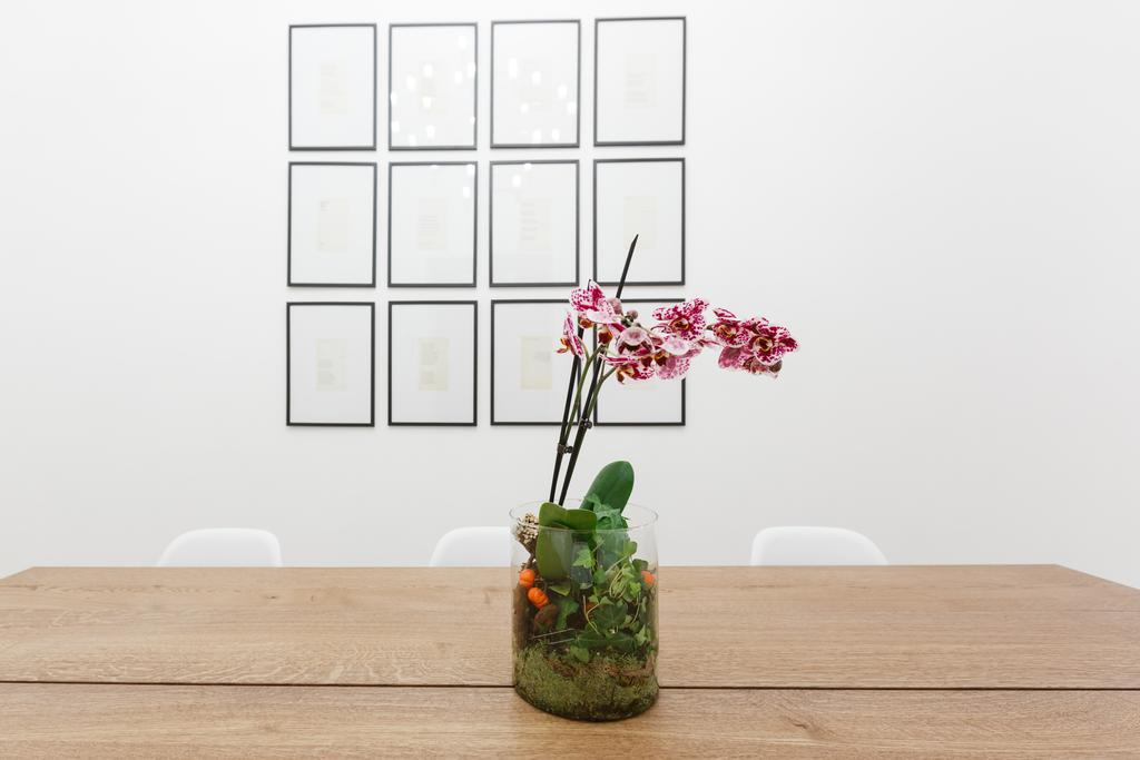 Modern Comfort, Poetic Charm Apartment Rome