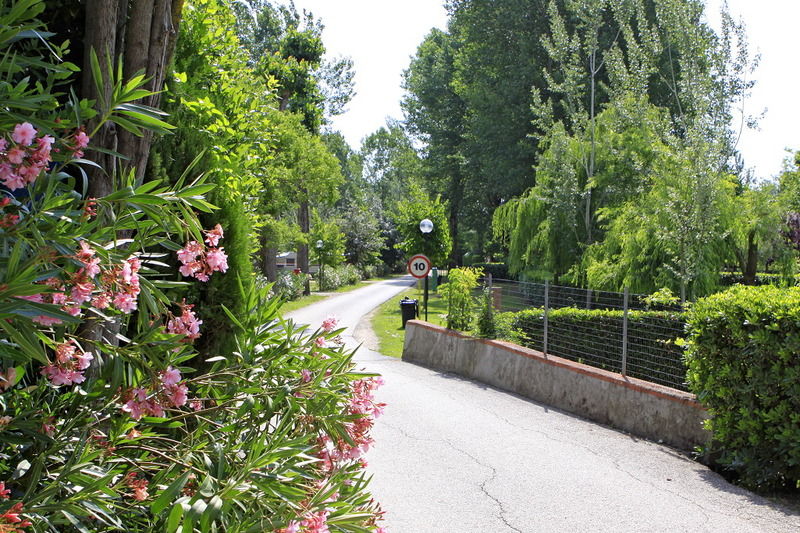 Tiber 2*