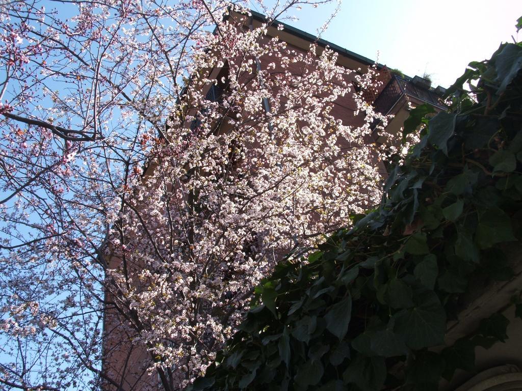 Bed & Breakfast La Cubanina Rome