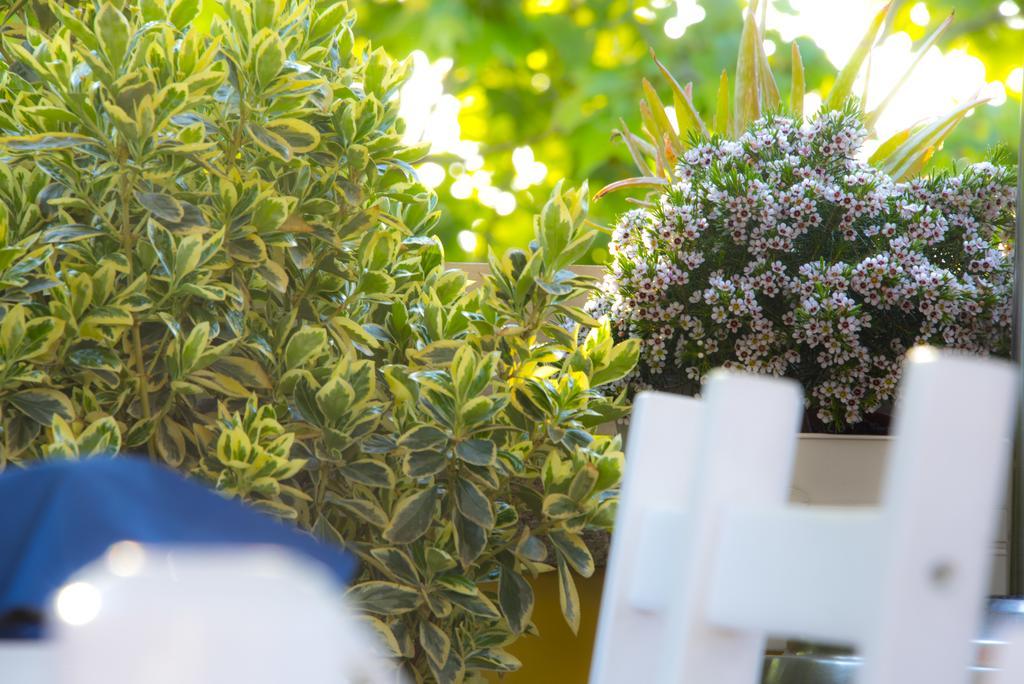 Casa Martini Bed & Breakfast Rome