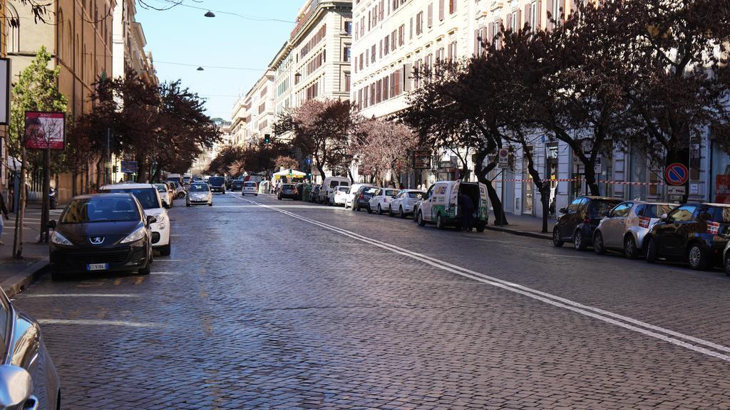 Ezio View *