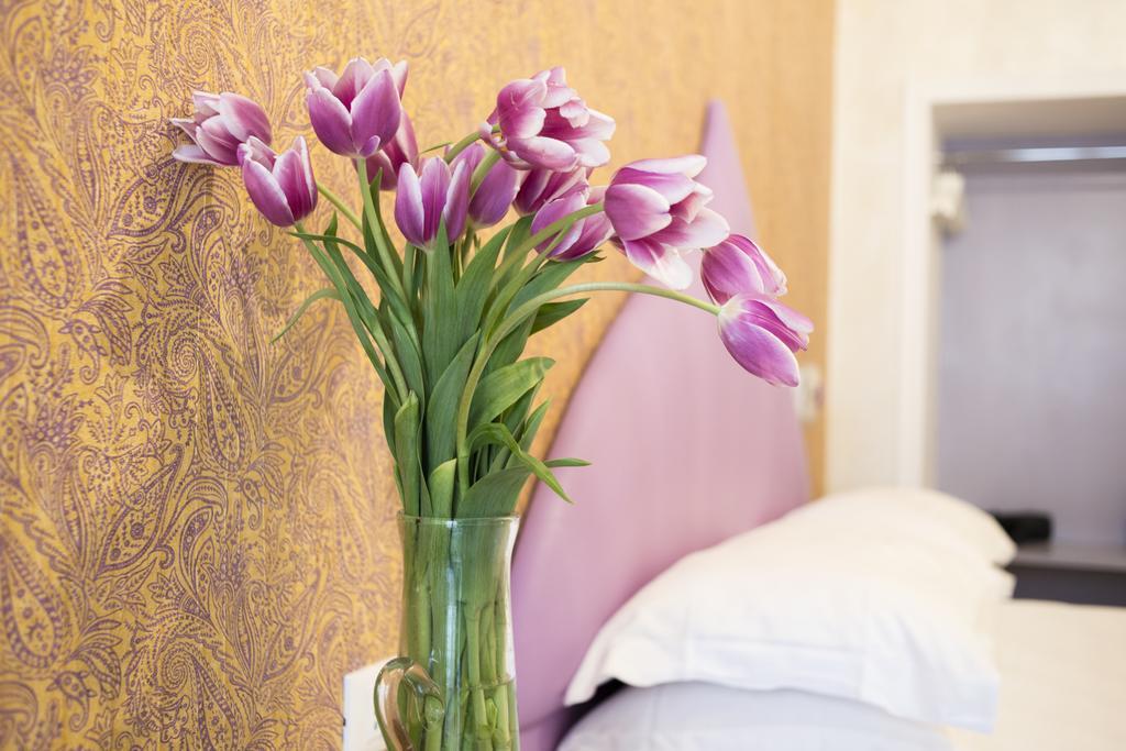 Guest house Ripetta 3*