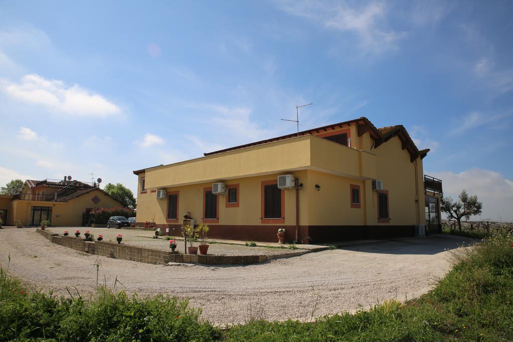 Grappoli Di Sole Alloggio per agriturismo Roma