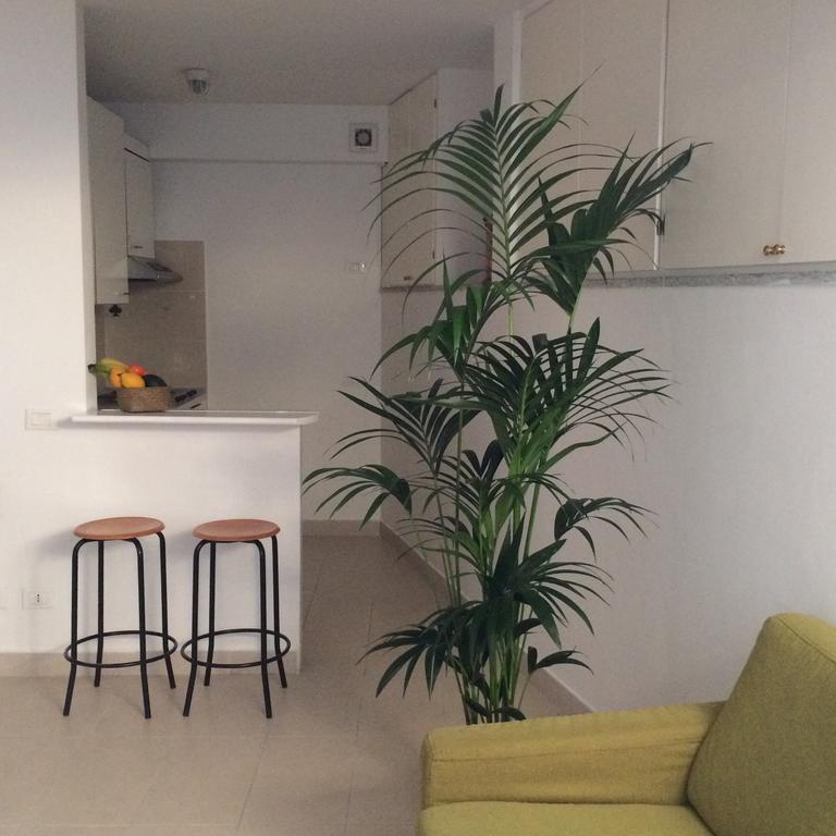 Loft Garden San Lorenzo