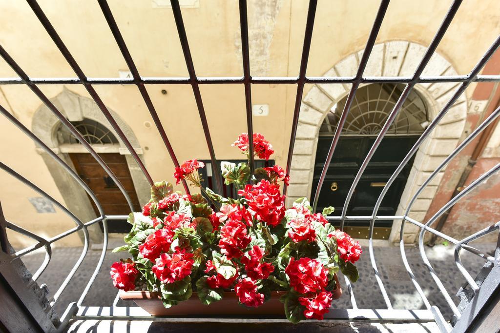 Appartement Maison Del Fico Piazza Navona