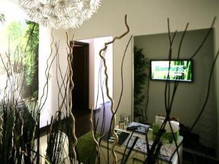 Bamboo 2*