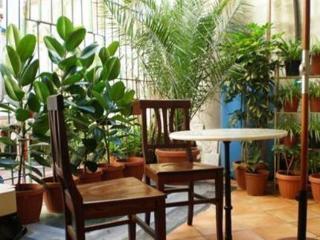 Bed & Breakfast Matisse Royal