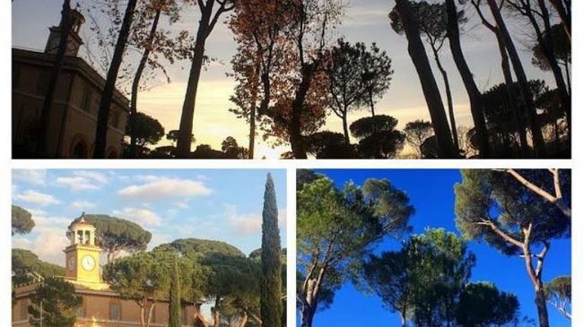 Panama Garden Rome