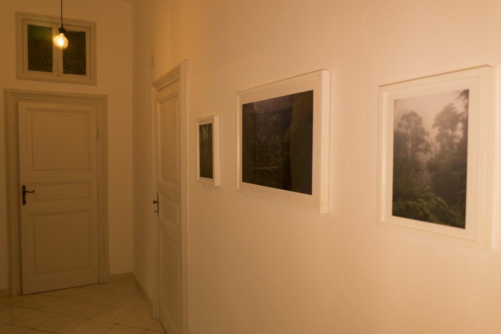 Trastevere Corner Eight