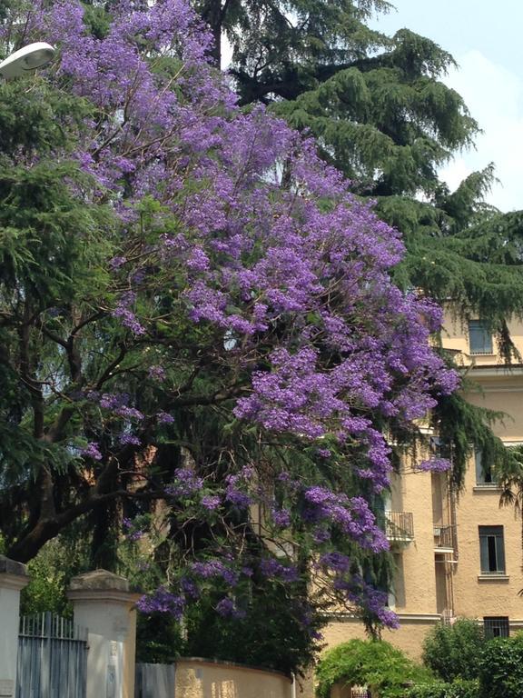 In Isole Guest house Rome
