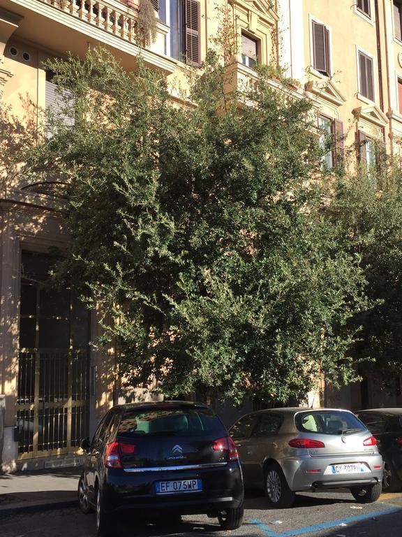 Appartement Vatican *