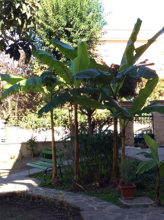 Guest house Figlie Maria Missionarie Rome