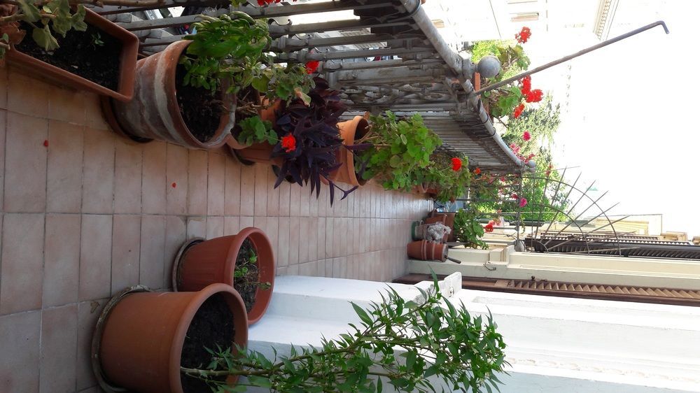 Hotel Aristotele 2*