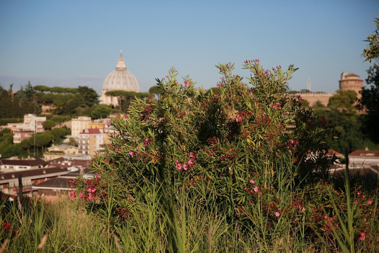 All'ombra Di San Pietro * Rome