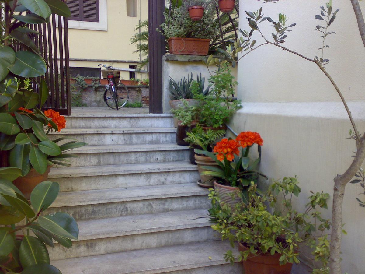 Le Finestre Di Luz Guest house 2*