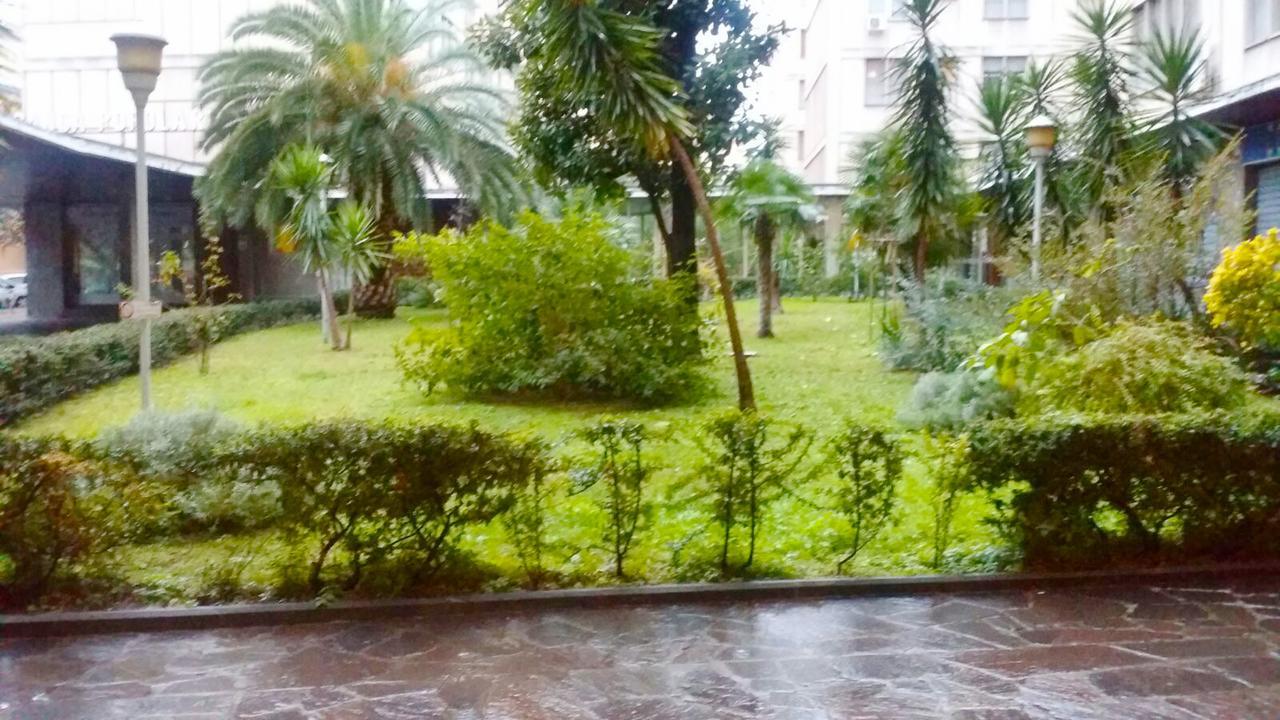 Coppola Myhouse 3*