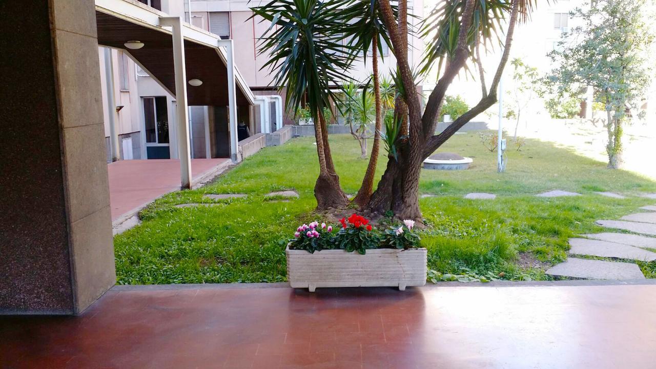 Coppola Myhouse 3*
