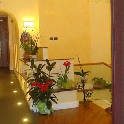 Hotel Demetra Capitolina Rome
