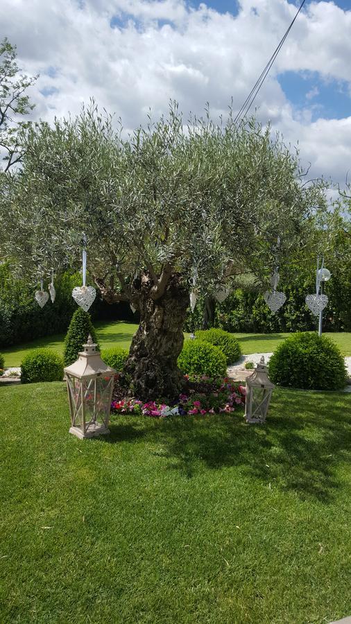 Acomodação com café da manhã  Sant'alessandro Roma