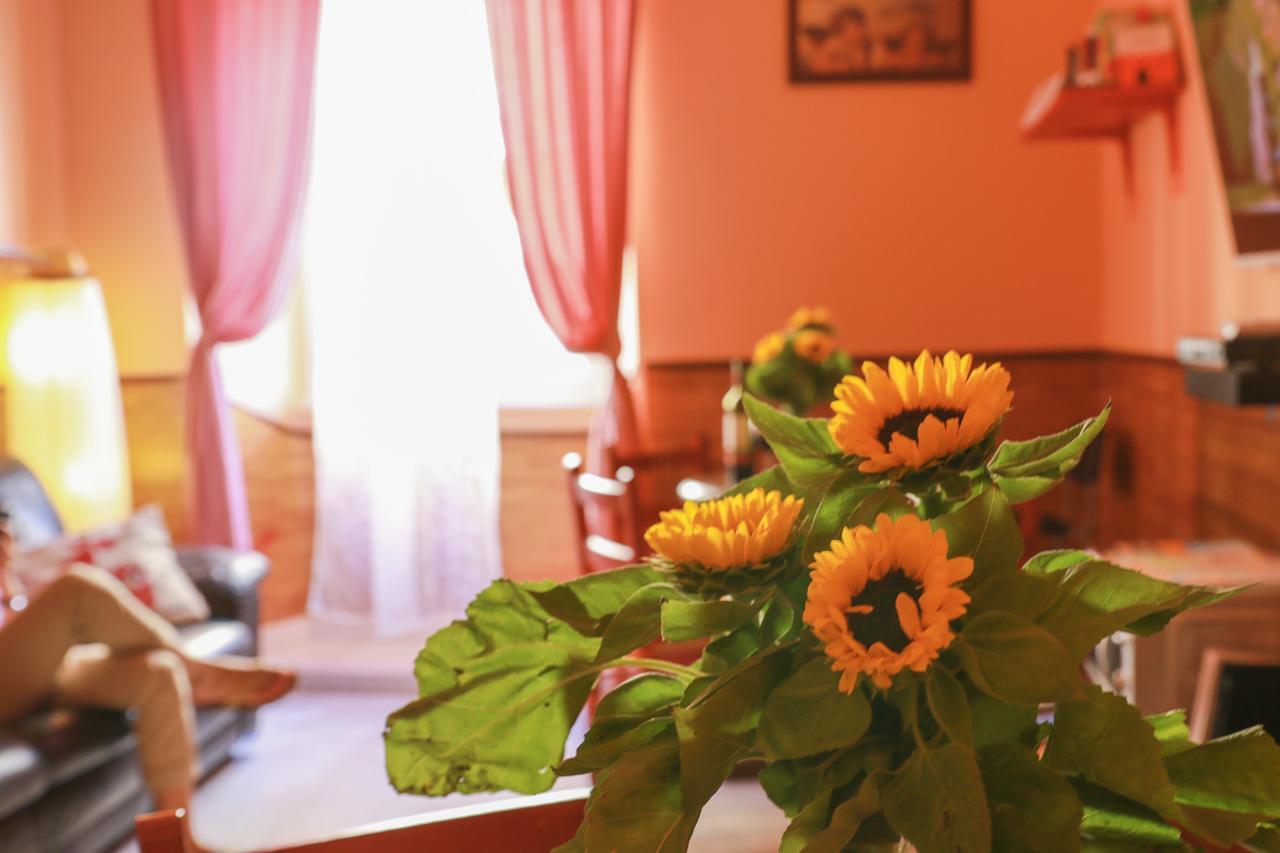 Hostel Holidays