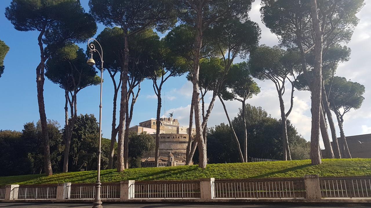 Civico 7 * Rome