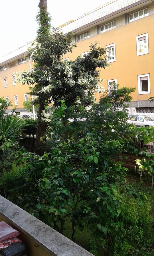 Bed & Breakfast Livinghouse Rome
