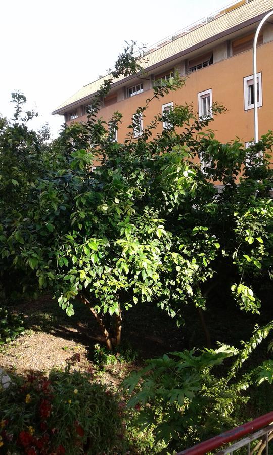 Bed & Breakfast Livinghouse Rome