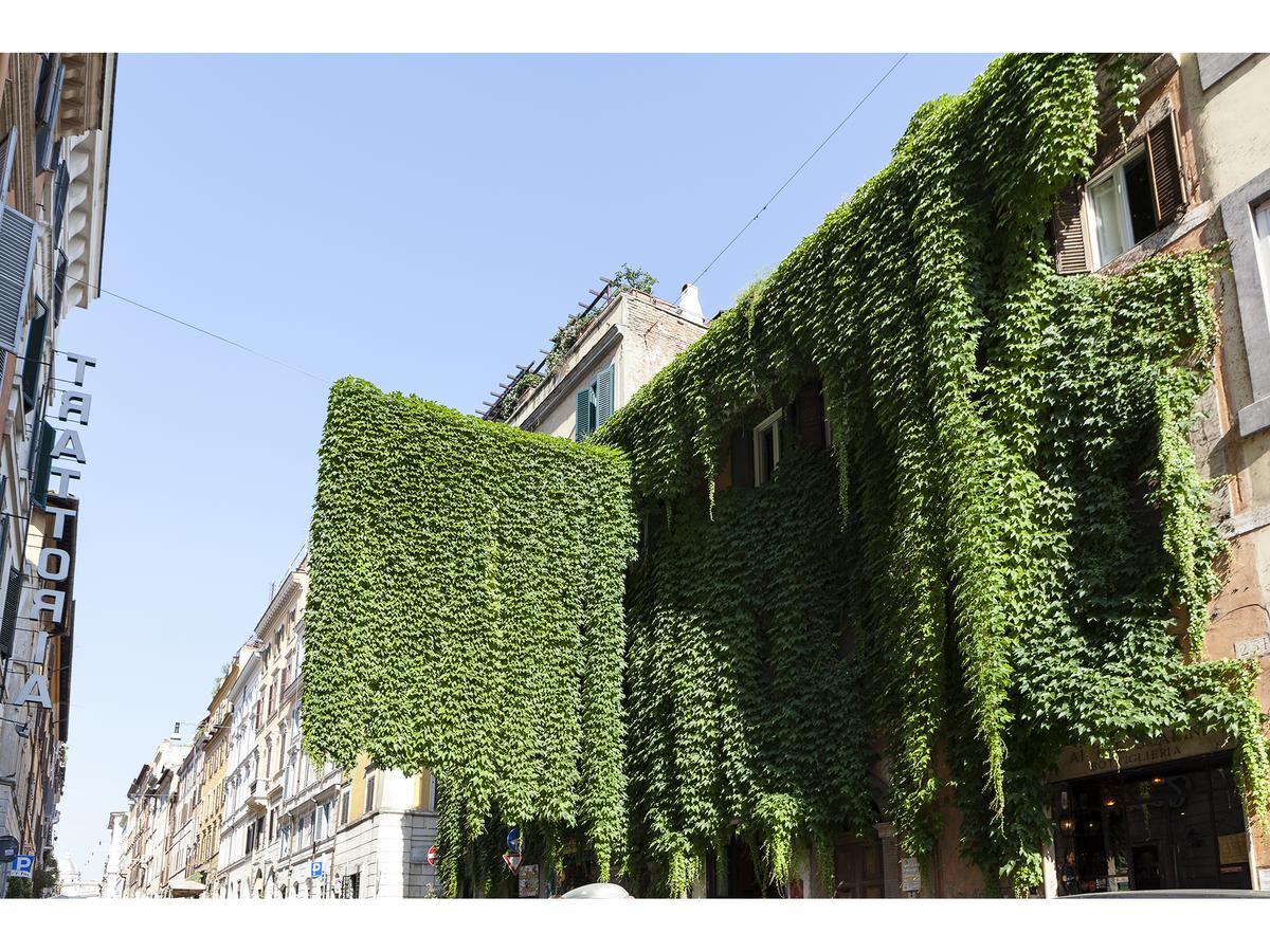 Ivy Rome