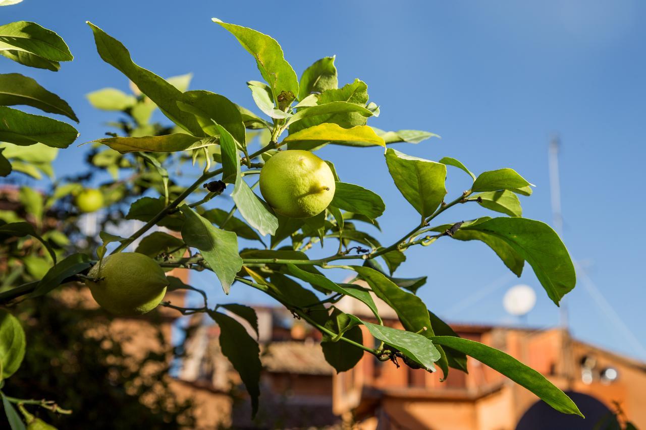 Trastevere *