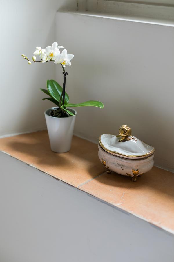 Trastevere - Mantellate Home-ospedale Bambin Gesu Roma