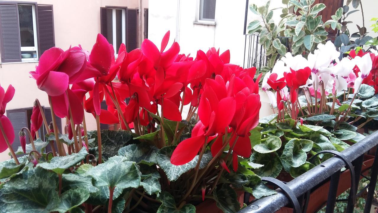 Apartment Lilium House Aventino