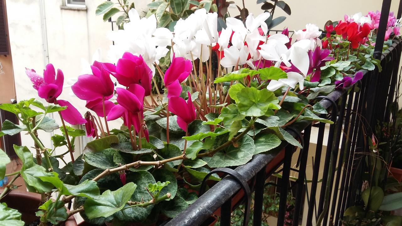 Apartment Lilium House Aventino