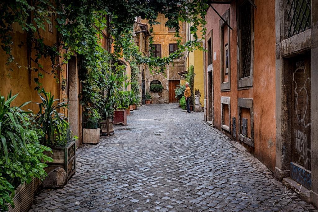 Il Cedro Apartment