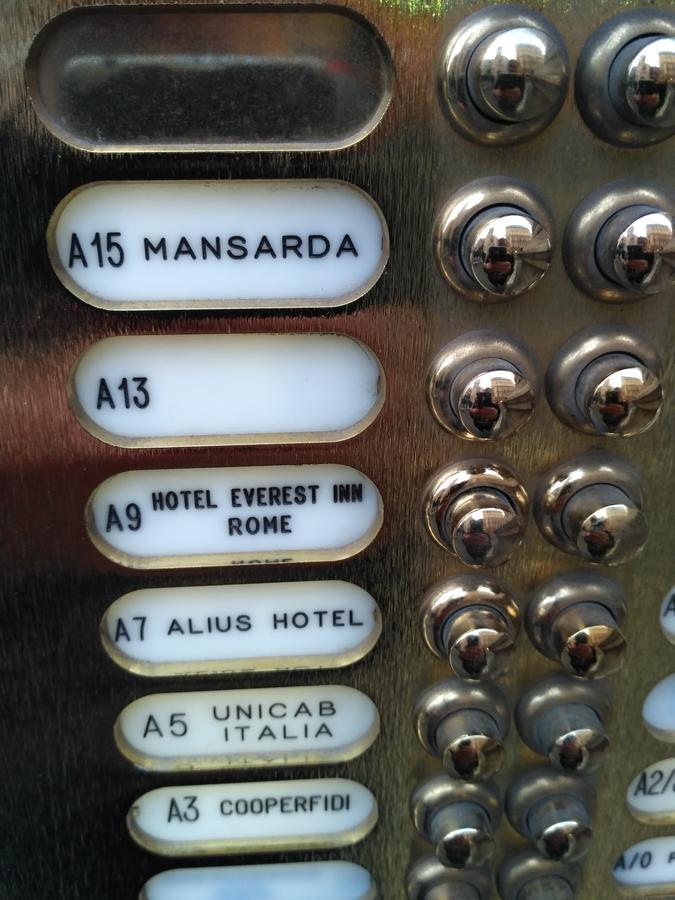 Alius Roma