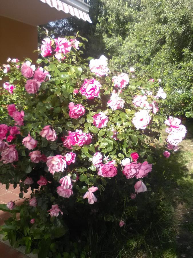 Apartment Braccianese